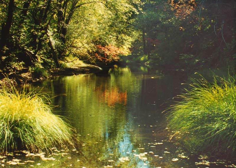 mattole-river mattole-river